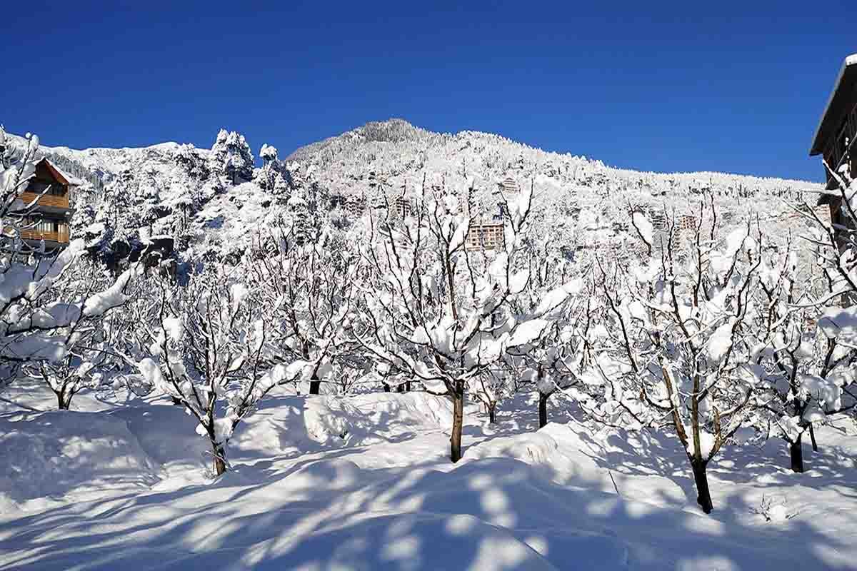 snowview